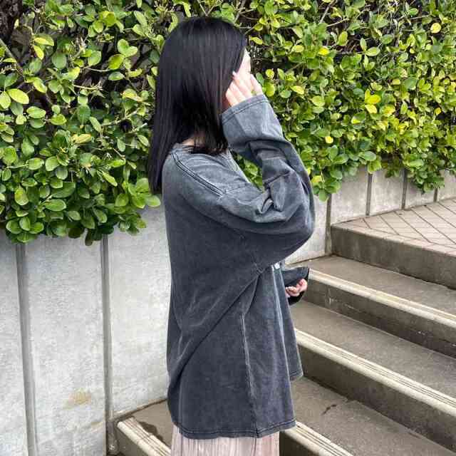 ピグメントロゴロンT