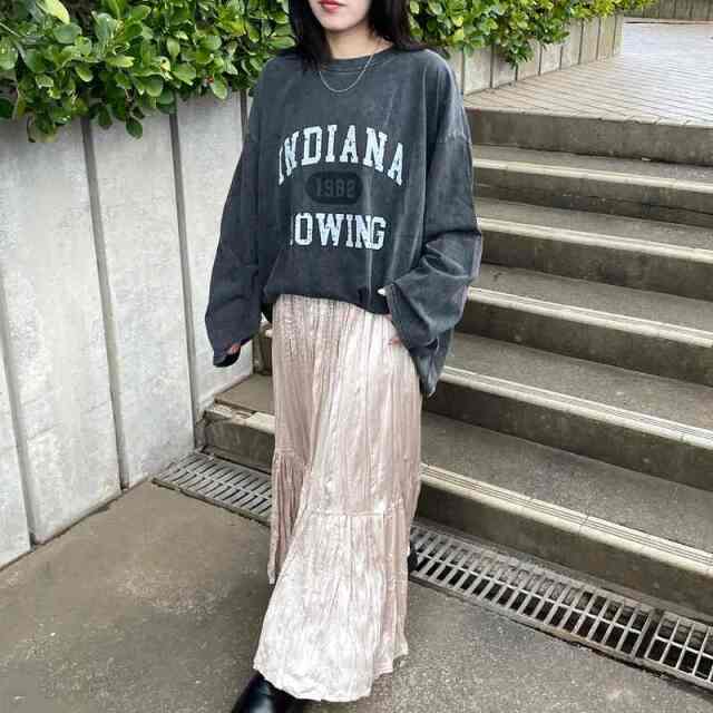 ピグメントロゴロンT