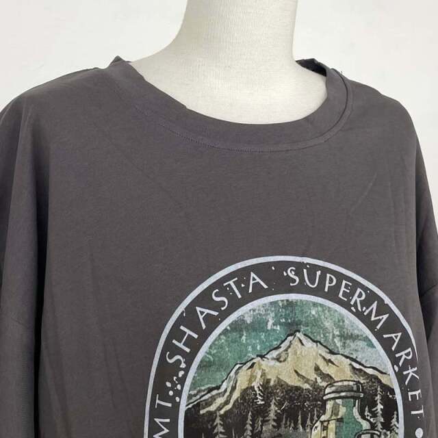 マウンテンBIGTシャツ