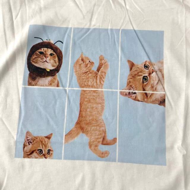パネル転写ネコBIGTシャツ