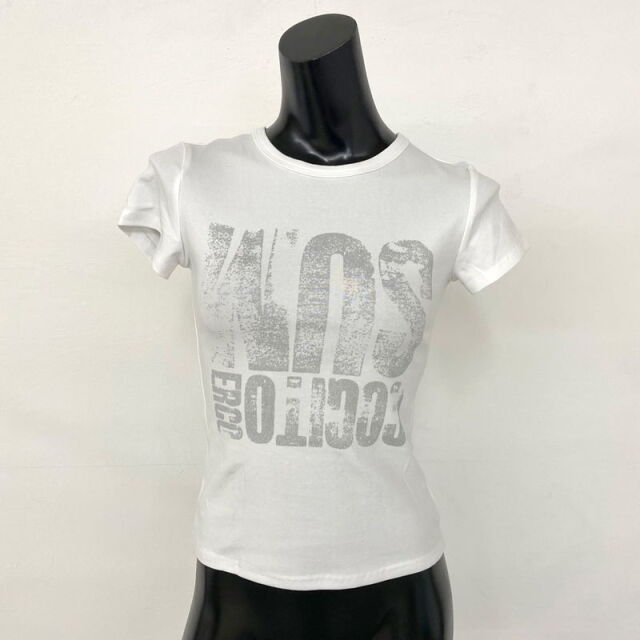シルバービッグロゴTシャツ