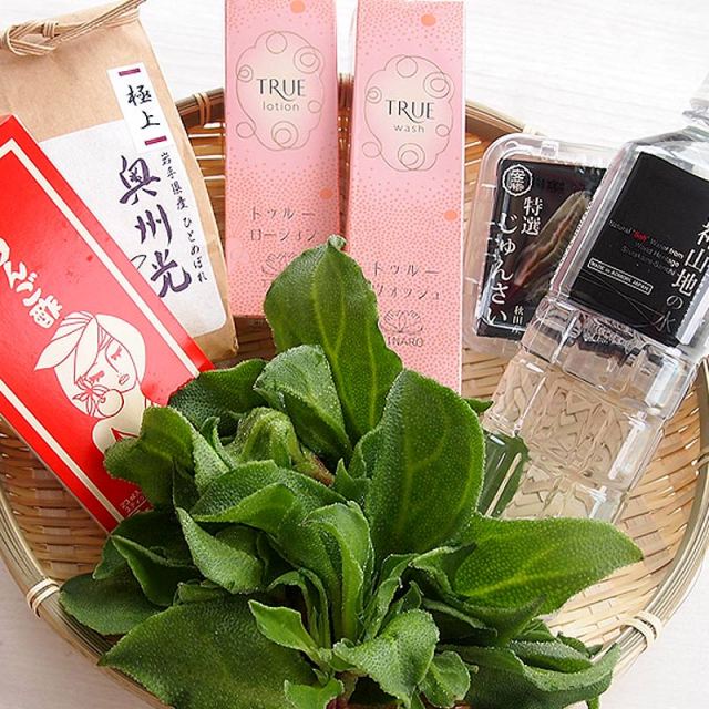 【期間限定】素材付き美肌セット(トゥルーウォッシュ×トゥルーローション各1本）