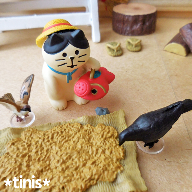 DECOLE デコレ コンコンブル 水遊び子猫 なつやすみの庭 夏 置物