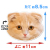77スコティッシュ猫マグネット2