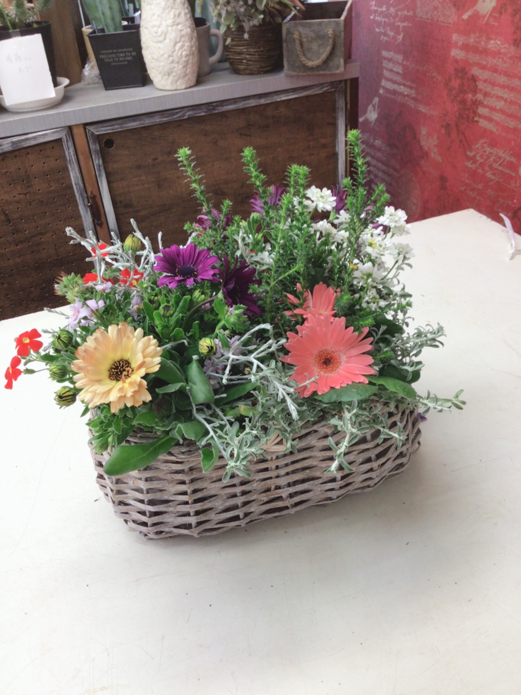 バスケット　季節の寄せ植えプランツギャザリング(要予約商品)