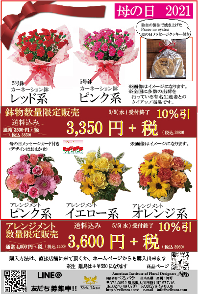 【全国送料無料】　母の日　鉢植え　アレンジ　限定商品