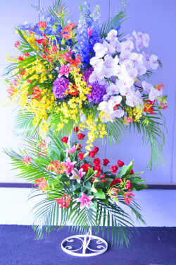 胡蝶蘭入りＳ字ウェーブ豪華２段スタンド