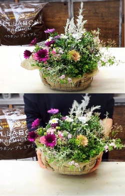 バスケット　季節の寄せ植えプランツギャザリング8000(要予約商品)