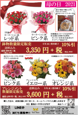 【全国送料無料】　母の日　鉢植え　アレンジ　限定商品