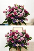 バラガーベラ季節の花　ピンク赤紫アレンジ
