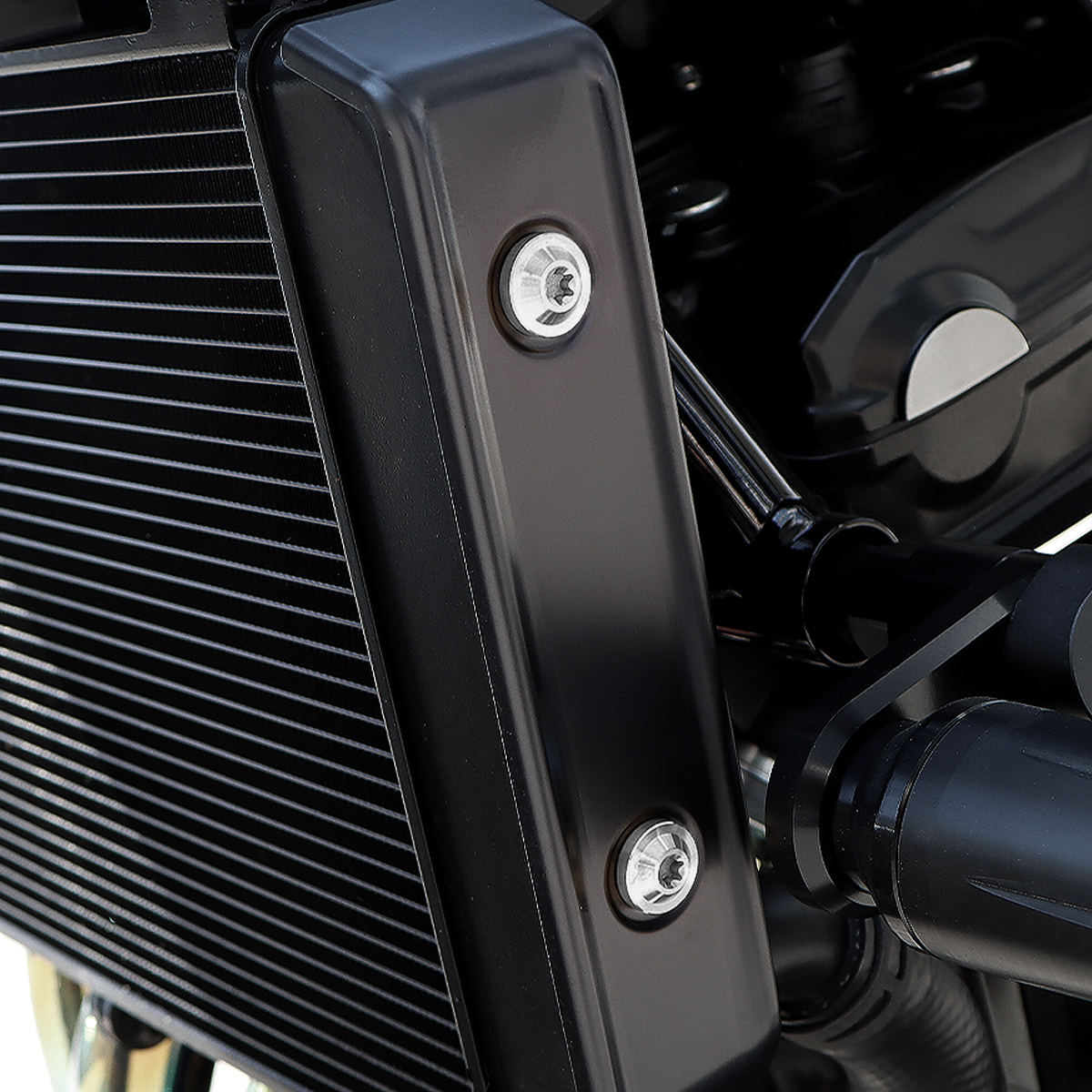 Z900RS 64チタン ラジエター サイドカバー用 ボルトセット シルバー BS0004 【メール便可】