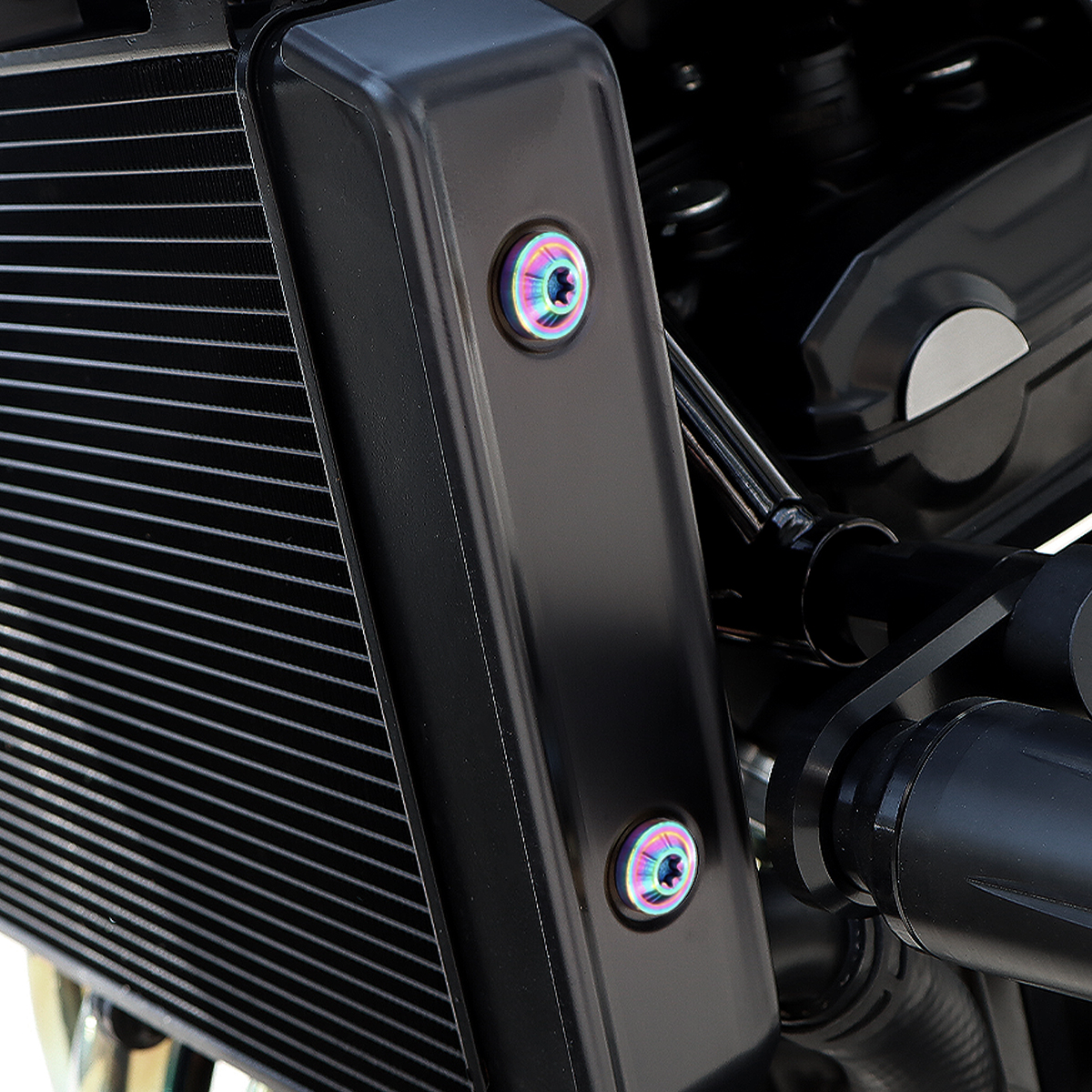Z900RS 64チタン ラジエター サイドカバー用 ボルトセット レインボー BS0005 【メール便可】