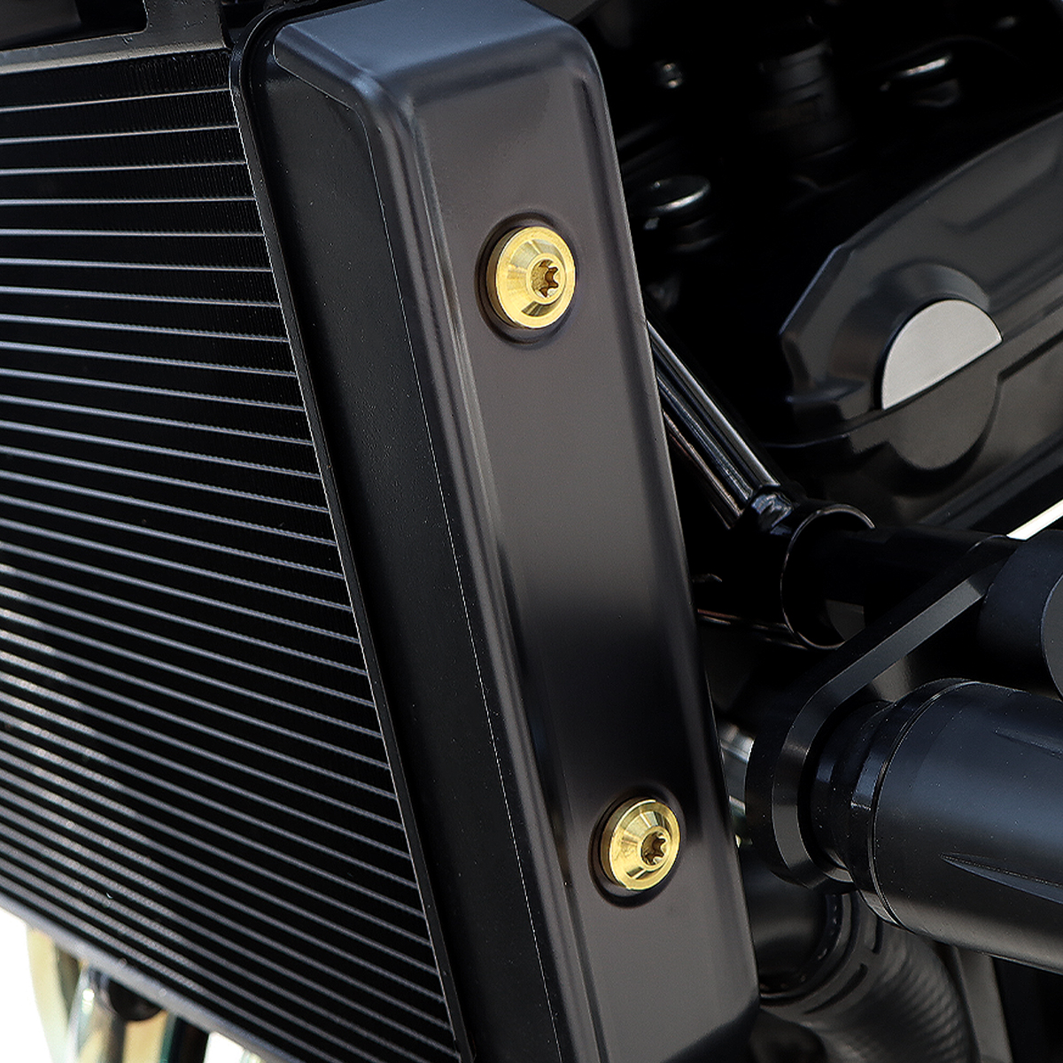 Z900RS 64チタン ラジエター サイドカバー用 ボルトセット ゴールド BS0006 【メール便可】