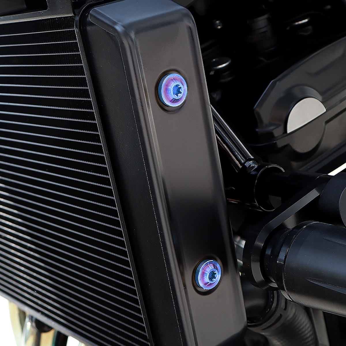 Z900RS 64チタン ラジエター サイドカバー用 ボルトセット 焼きチタンカラー BS0007 【メール便可】