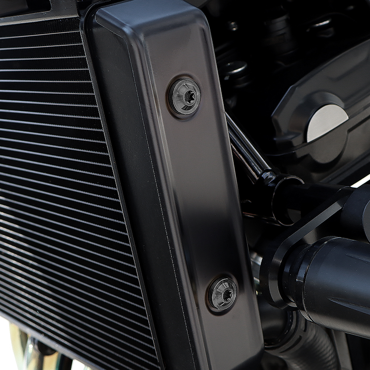 Z900RS 64チタン ラジエター サイドカバー用 ボルトセット ブラック BS0047 【メール便可】