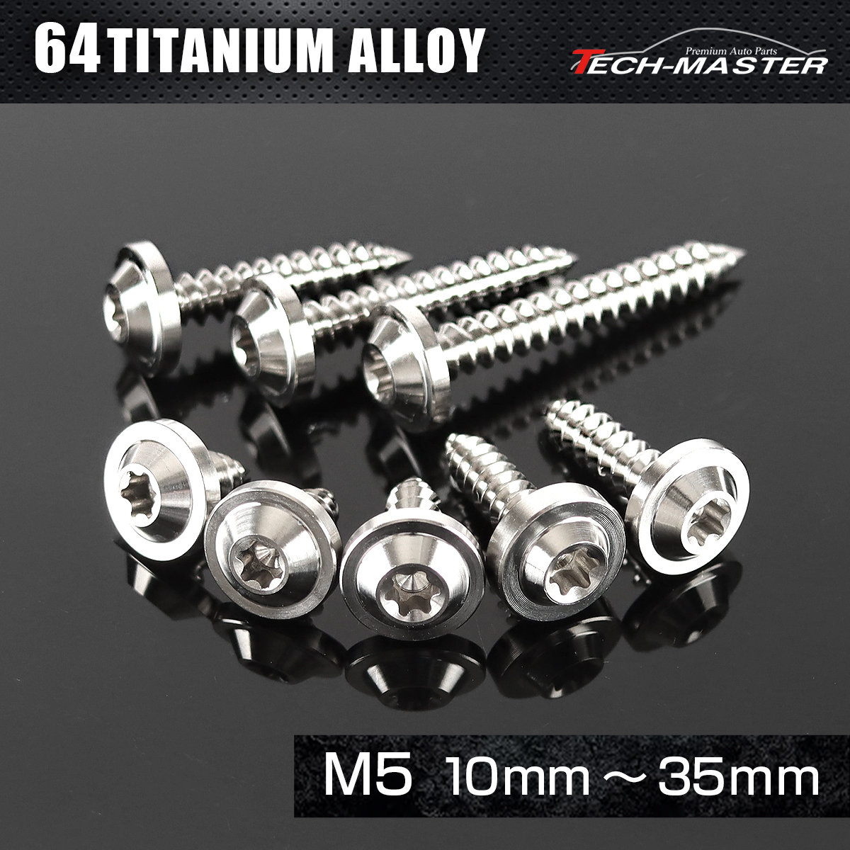 チタンネジ トルクス穴付 タッピングビス M5×10mm～35mm シルバー JA1239CHOICE 【メール便可】