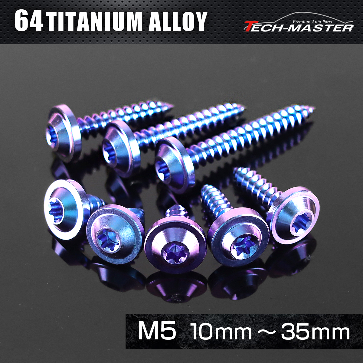 チタンネジ トルクス穴付 タッピングビス M5×10mm～35mm パープルブルー JA1241CHOICE 【メール便可】