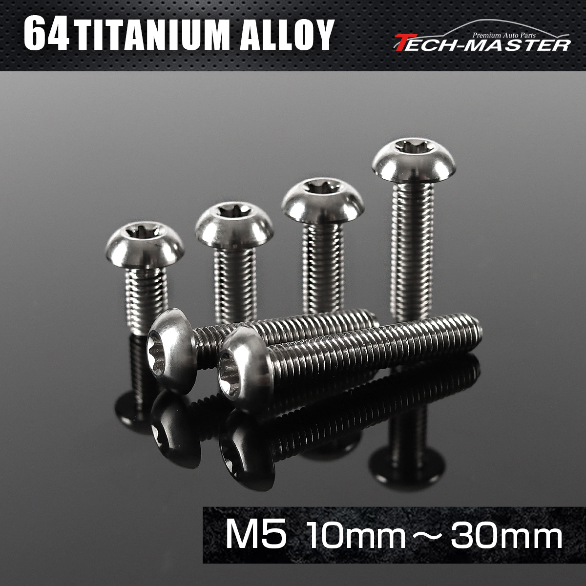 チタンボルト トラスヘッド トルクス穴付き M5×10mm～30mm シルバー JA459CHOICE 【メール便可】