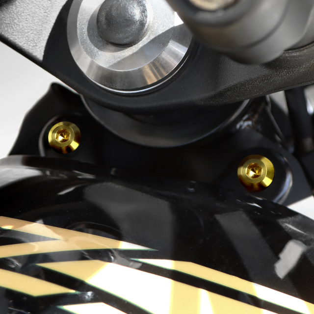 Z900RS 64チタン タンク用 ボルトセット ゴールド BS0003