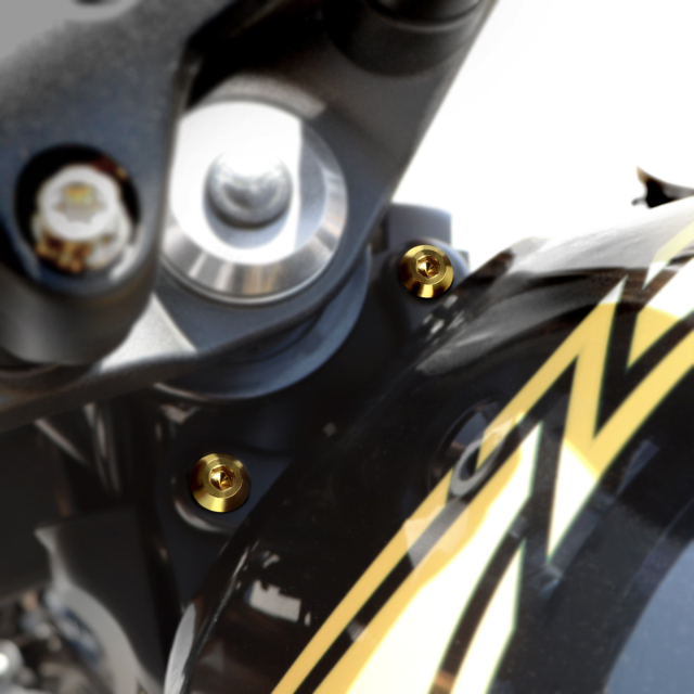 DBT Designモトコルセ　ライセンスプレートボルト　ゴールド Z900RS DBT Design チタニウム ライセンスプレートボルト - MOTO CORSE