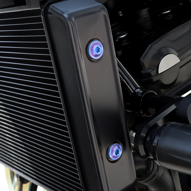 z900rsラジエーターサイドカバー　BLACK Z900RS 64チタン ラジエター サイドカバー用 ボルトセット 焼きチタン