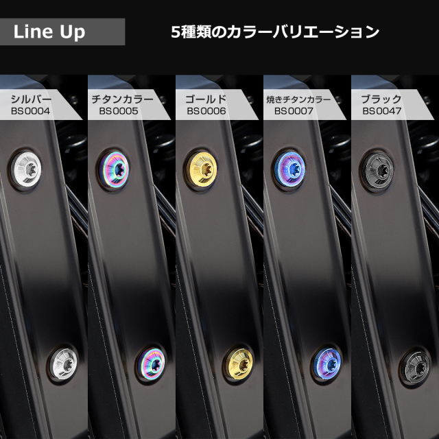 Z900RS 64チタン ラジエター サイドカバー用 ボルトセット 焼きチタン