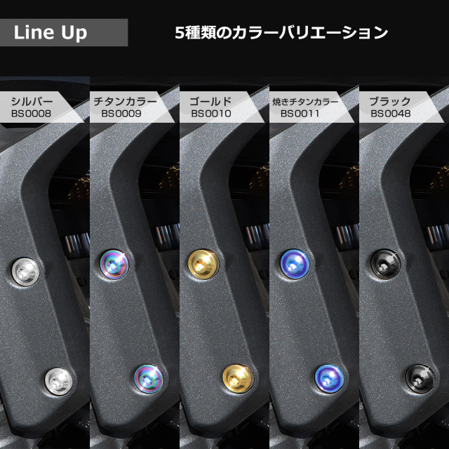 Z900RS 64チタン フロントフェンダーアーム用 ボルトセット レインボー