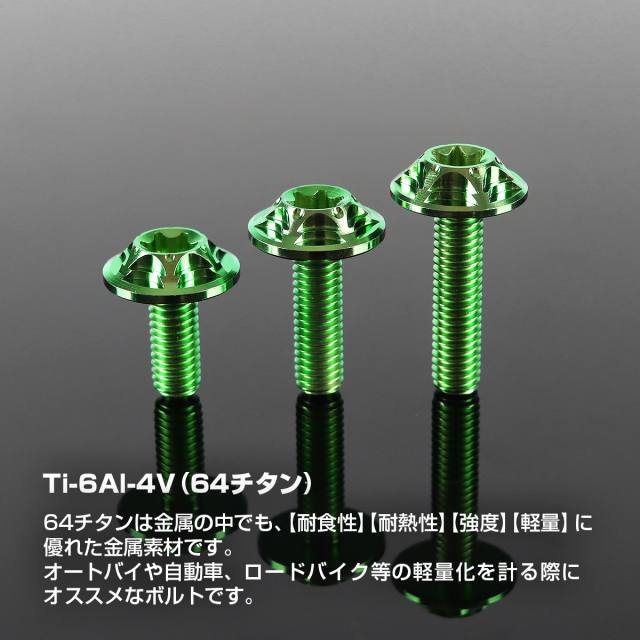 チタンボルト フランジ付き スノーヘッド トルクス穴 ボタンボルト M6