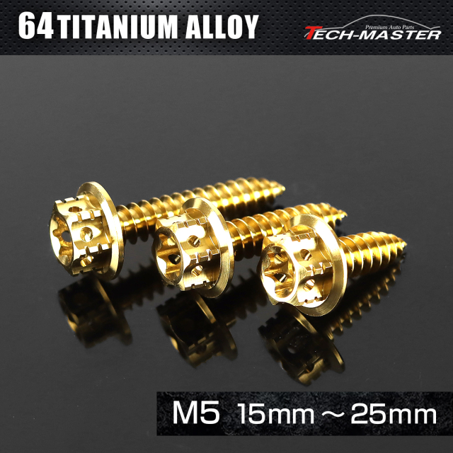 チタンネジ トルクス穴 フランジ付 タッピングビス M5×15mm～25mm