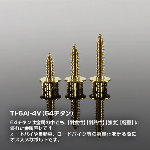 チタンネジ トルクス穴 フランジ付 タッピングビス M5×15mm～25mm