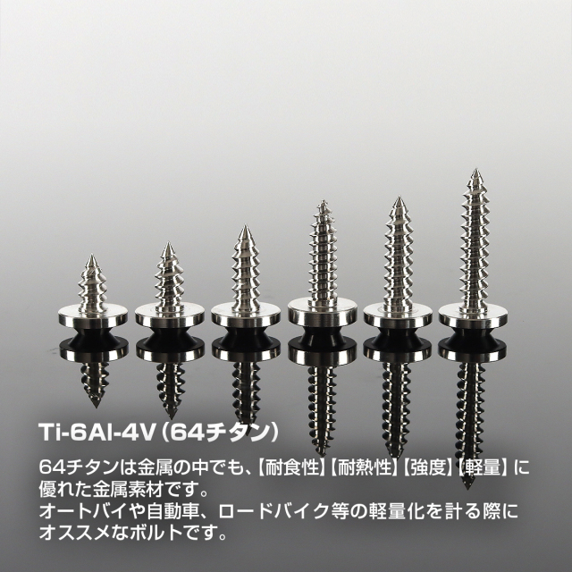 チタンネジ トルクス穴付 タッピングビス M5×10mm～35mm