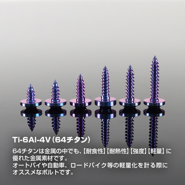 チタンネジ トルクス穴付 タッピングビス M5×10mm～35mm パープル
