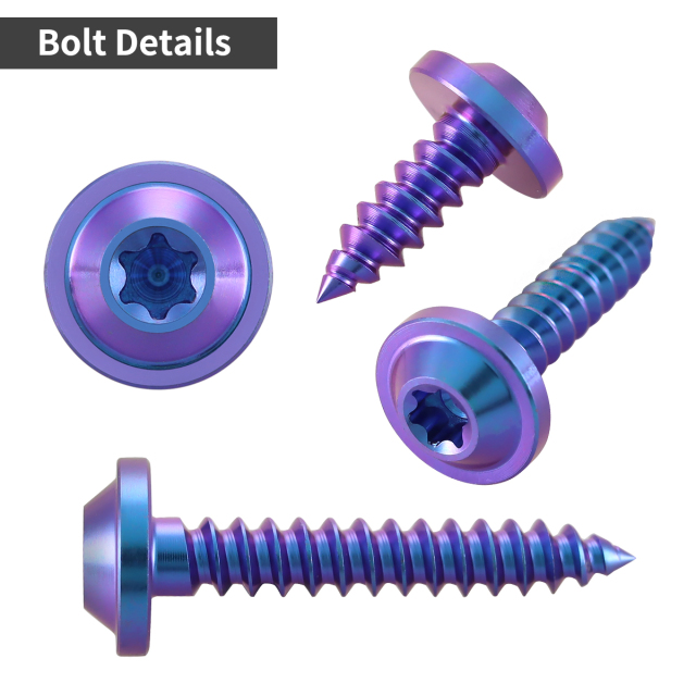チタンネジ トルクス穴付 タッピングビス M5×10mm～35mm パープル