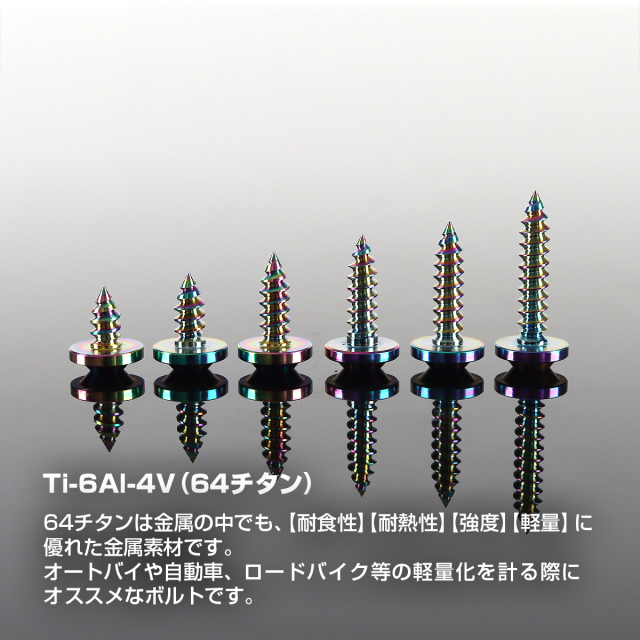 ちたたんページ チタンネジ トルクス穴付 タッピングビス M5×10mm～35mm レインボー