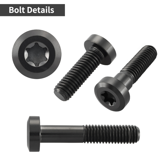 チタンボルト 低頭 ローヘッド トルクス穴 キャップボルト M8×20mm
