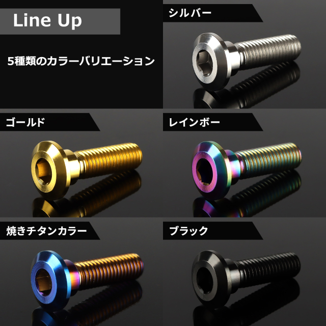 64チタン カワサキ車用 ブレーキディスク ローターボルト M8×30mm 焼き