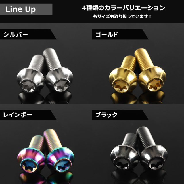 チタンボルト 湾曲テーパーヘッド トルクス穴付き キャップ