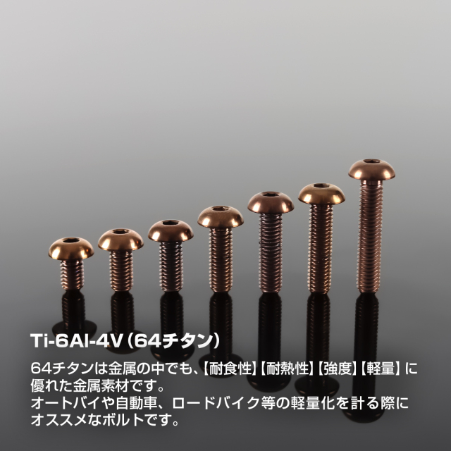 チタンボルト トラスヘッド 六角穴付き ボタンボルト M5×8mm～30mm