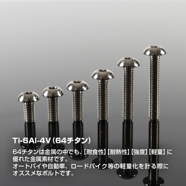 チタンボルト トラスヘッド トルクス穴付き M5×10mm～30mm シルバー