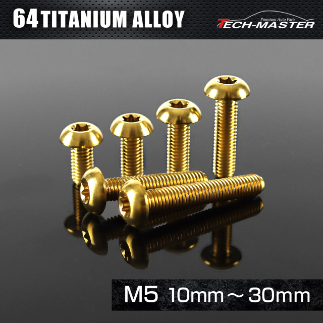 チタンボルト トラスヘッド トルクス穴付き M5×10mm～30mm ゴールド