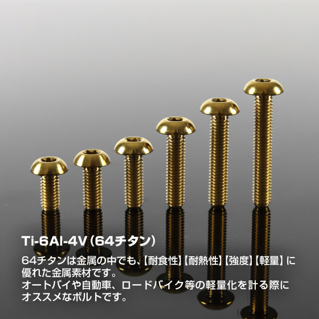 チタンボルト トラスヘッド トルクス穴付き M5×10mm～30mm ゴールド
