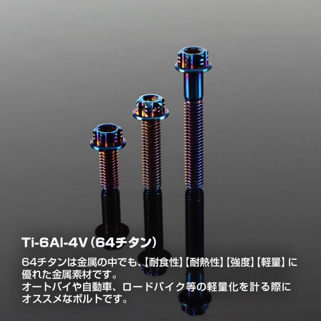 チタンボルト ヘキサゴン フランジ付き トルクスヘッド M6×15mm～40mm