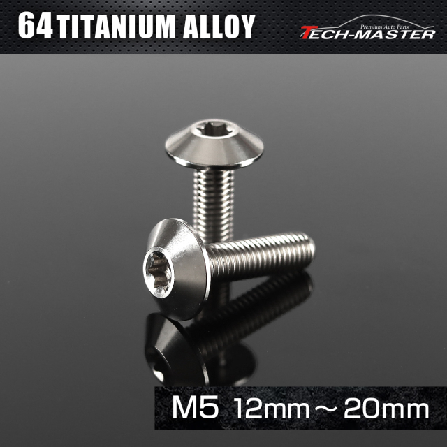 チタンボルト トルクス穴付き テーパーヘッド ボタンボルト M5×12mm～20mm シルバー JA622CHOICE 【メール便可】