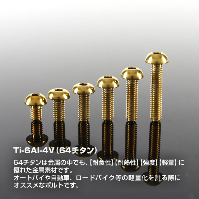 チタンボルト トラスヘッド 六角穴付き ボタンボルト M4×6mm～20mm