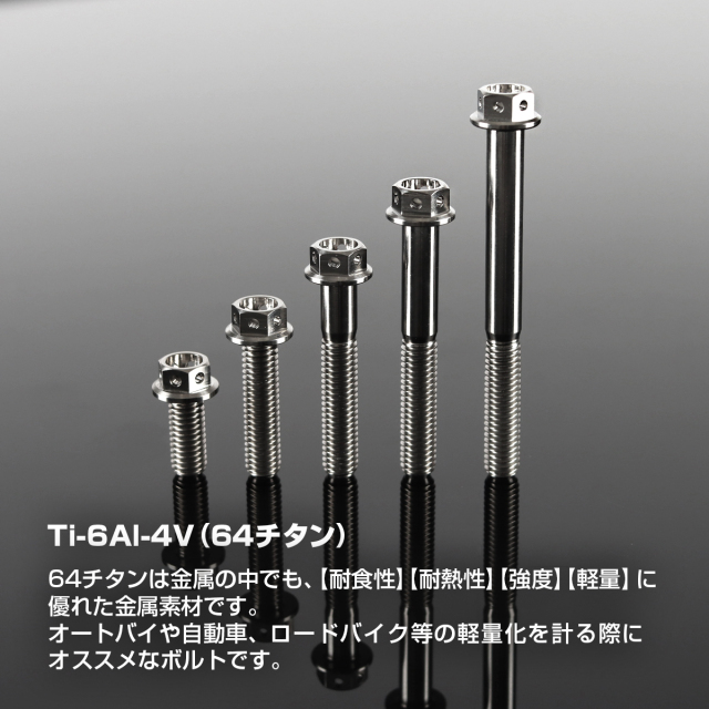 チタンボルト フランジ六角ボルト ワイヤリング M6×10mm～60mm