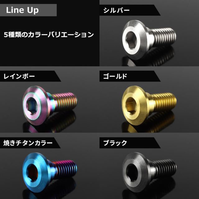 64チタン スズキ車用 ディスクローターボルト M8×22mm 焼きチタン