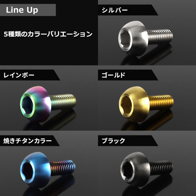 64チタン ホンダ車用 ディスクローターボルト M6×17mm ブラック JA825