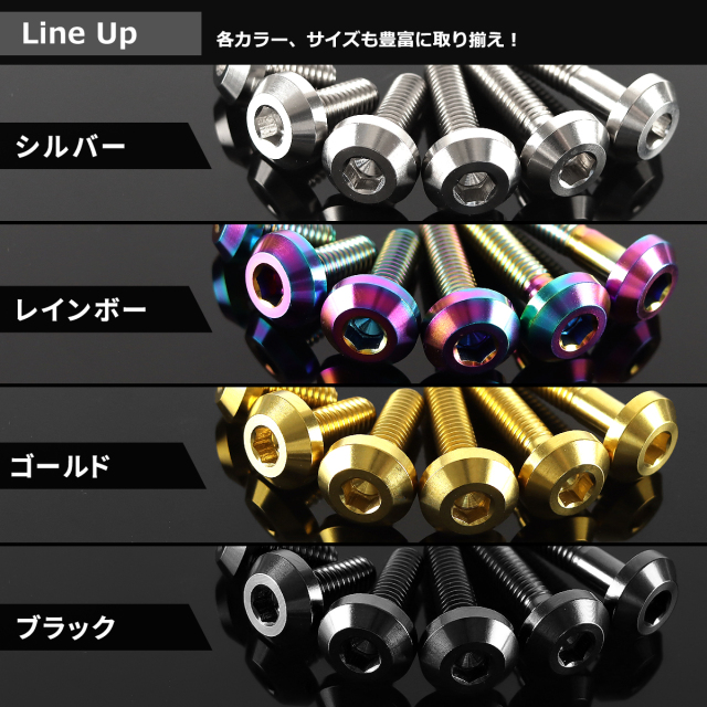 チタンボルト テーパーヘッド ボタンボルト 六角穴付き M6×12mm～35mm