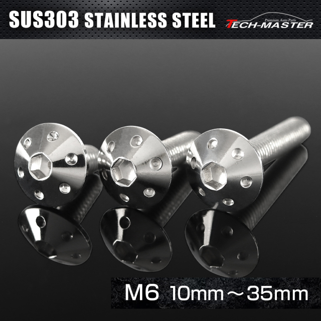 ステンレス 六角穴付 ボタンボルト ホールヘッド M6×10mm～35mm シルバー TR0050CHOICE 【メール便可】