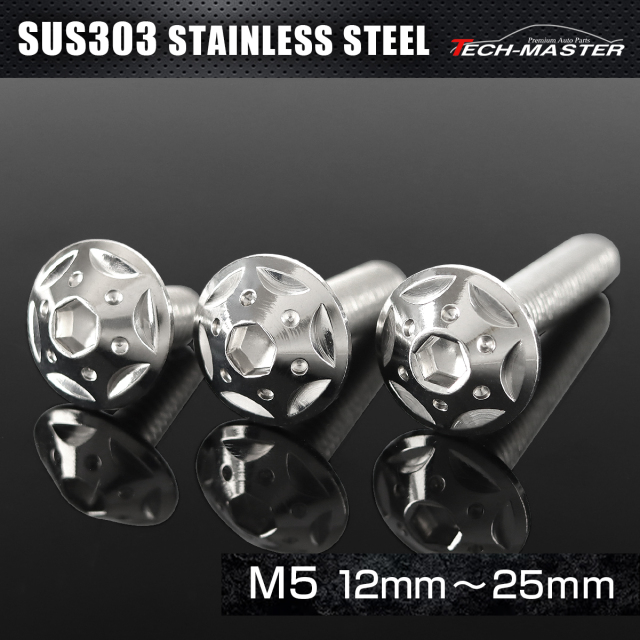 ステンレス 六角穴付 ボタンボルト スターホールヘッド M5×12mm～25mm シルバー TR0214CHOICE 【メール便可】